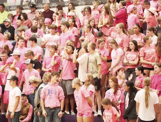 Bravettes battle through Pink Out