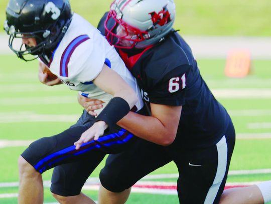 Dragons play on home turf