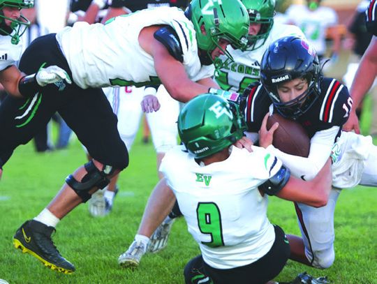Falcons retain perfection