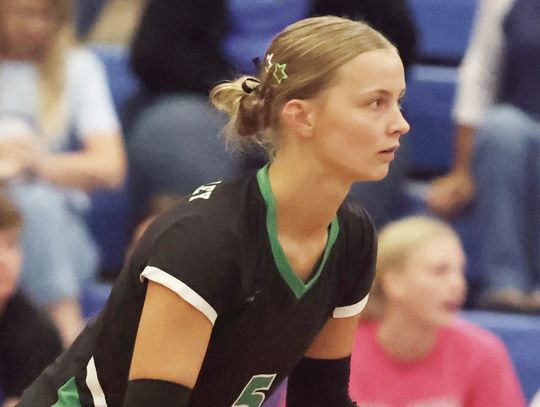 New roles on volleyball team
