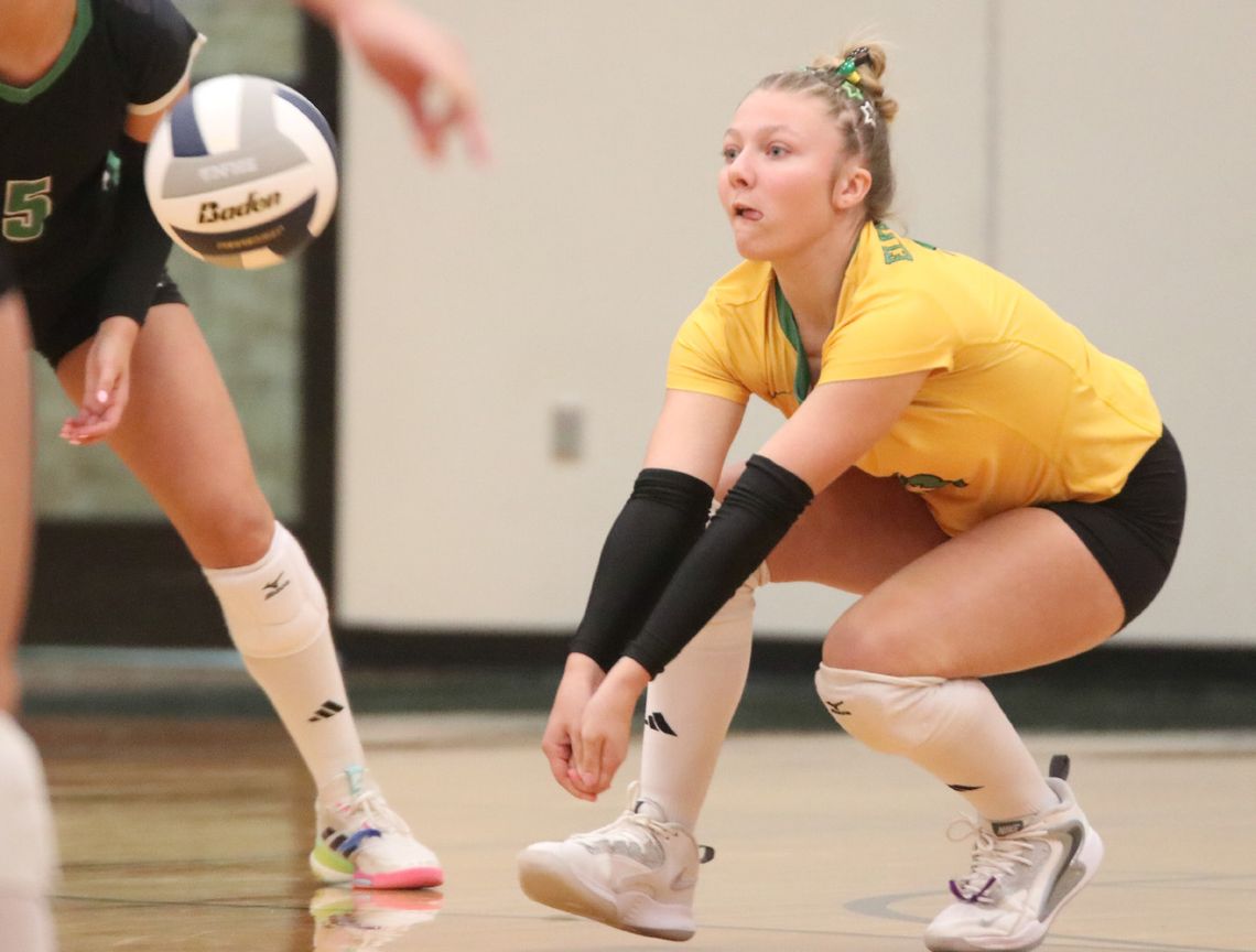 Falcons face fierce foes at home Falcons face fierce foes at home