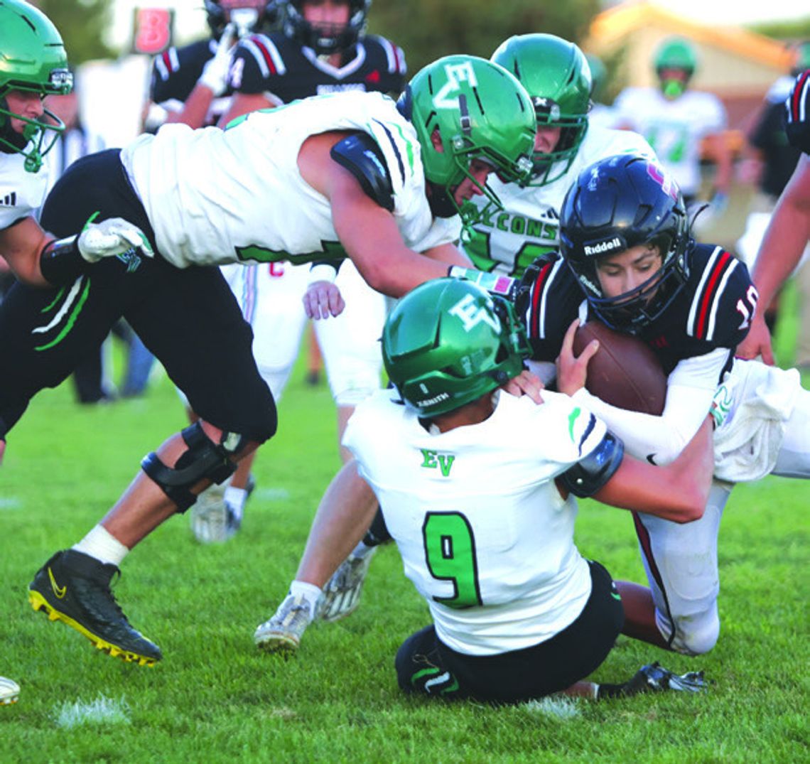Falcons retain perfection Falcons retain perfection